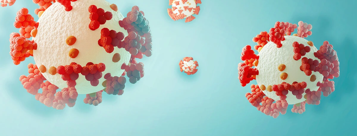 How HPV Spreads