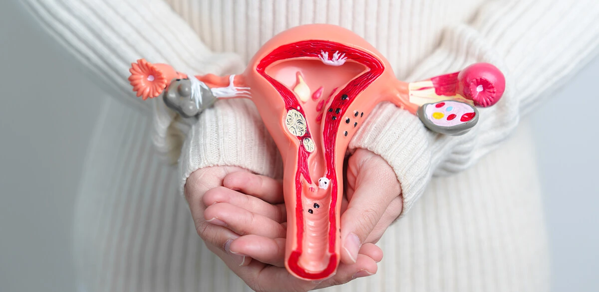 Understanding HPV